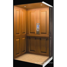 Fjzy-High Quality and Safety Home Lift Fjs-1625
